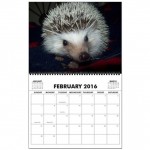 hedgehog_wall_calendar